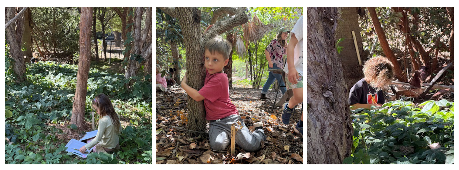 Gardening Program October 2025