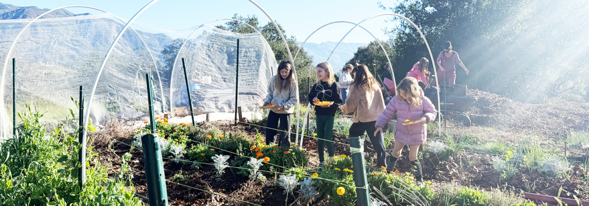 Garden Class Spring 2026