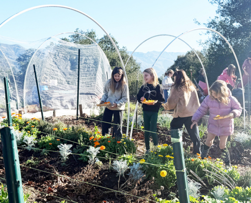 Garden Class Spring 2026