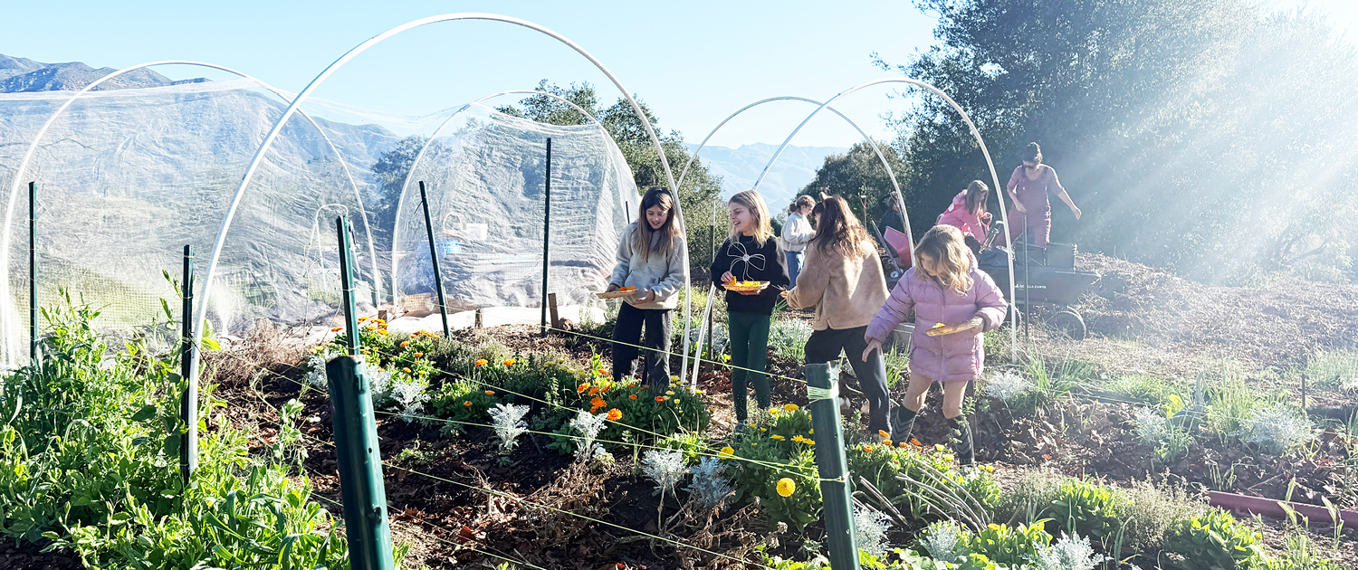 Garden Class Spring 2026