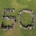 Happy Birthday Oak Grove 50