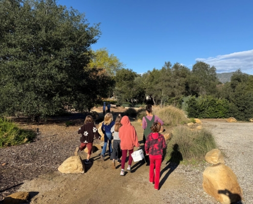 garden Program, Oak Grove School, Ojai CA