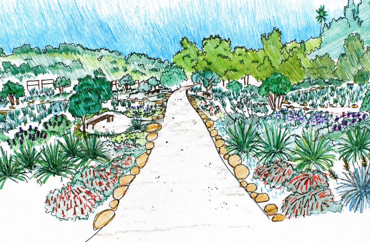 Meadow Restoration Project at Oak Grove School, Ojai