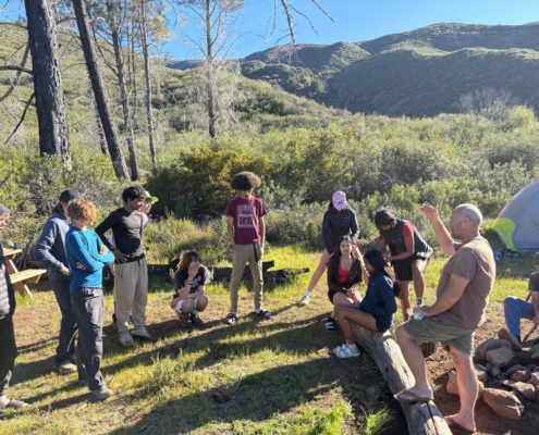 Pines Cleanup Weekend