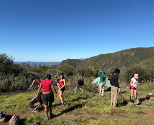 Pines Cleanup Weekend