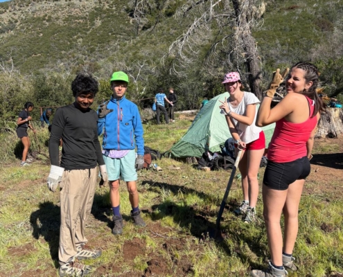 Pines Cleanup Weekend