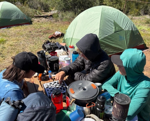 Pines Cleanup Weekend