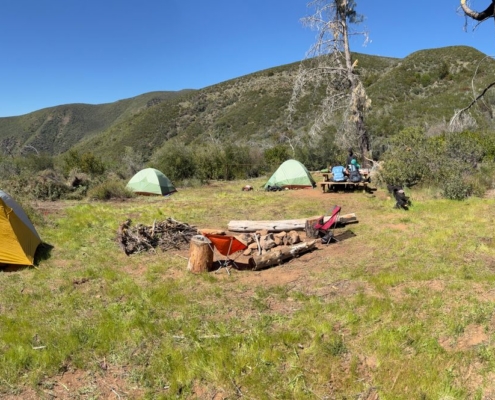 Pines Cleanup Weekend