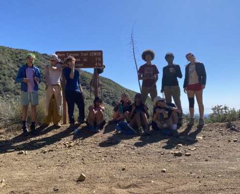 Pines Cleanup Weekend