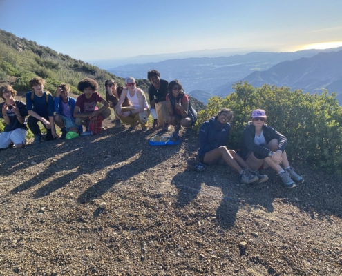 Pines Cleanup Weekend