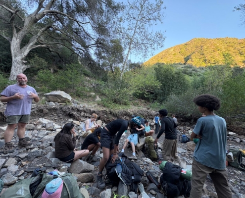 Pines Cleanup Weekend