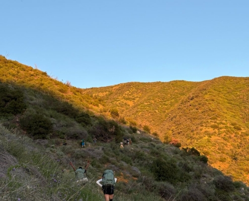 Pines Cleanup Weekend